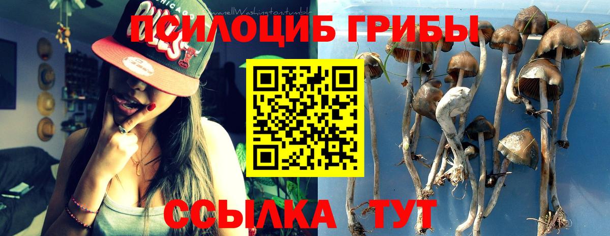 Галлюциногенные грибы MAGIC MUSHROOMS Лесосибирск