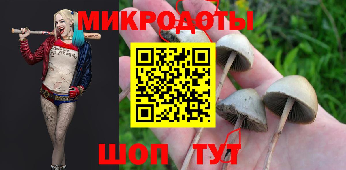 Лесосибирск  Галлюциногенные грибы Cubensis  купить  сайты  Вход с VPN 